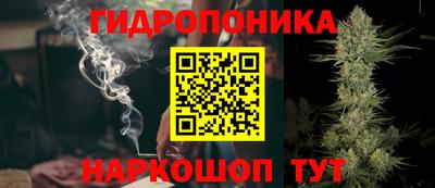 эйфоретик Будённовск
