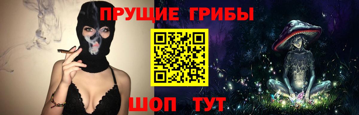 Псилоцибиновые грибы Psilocybe  Вход с VPN  Саяногорск 